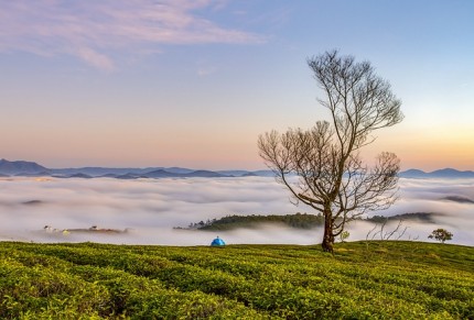 Question 7: Because God Loved the world He gave His only Son but eternal life