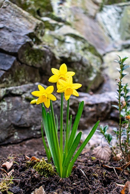 Why does God need to test us ?